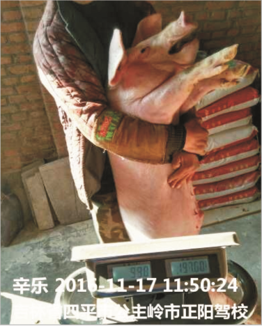 龙8唯一官网保育料（Z101）的实证案例